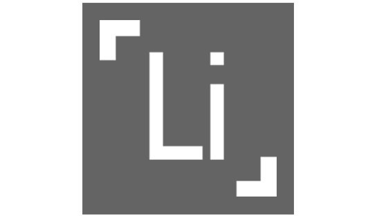 lithium ion