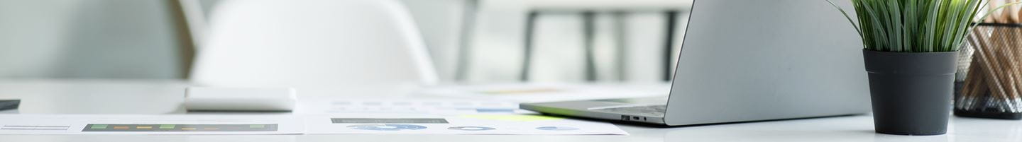 Banner Image with plant and laptop on table